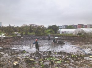 铁西河道鱼塘清淤